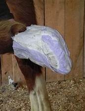 Перевязочные материалы для животноводства Перевязочные материалы для животноводства