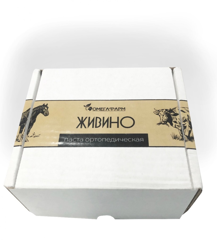 ПАСТА ОРТОПЕДИЧЕСКАЯ ЖИВИНО