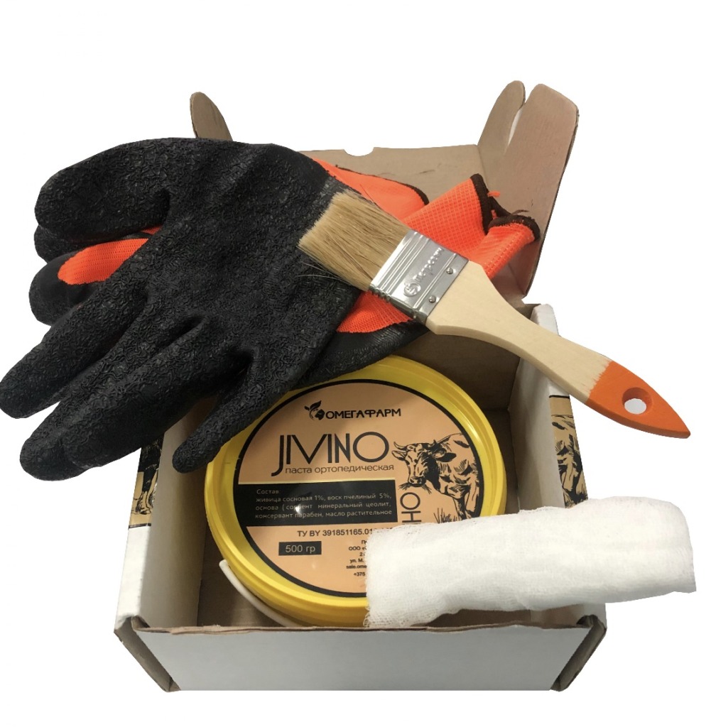 ПАСТА ОРТОПЕДИЧЕСКАЯ ЖИВИНО