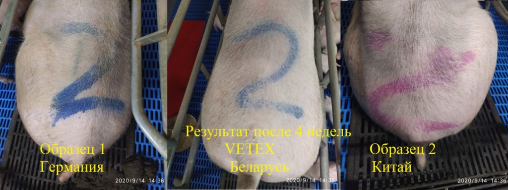 Краска для мечения VETEX